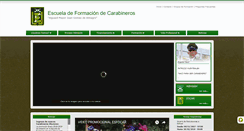 Desktop Screenshot of esfocar.cl